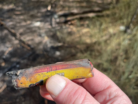 PSA 10/3/2025 4:00 p.m.: Small Brush Fire Near South Commerce and I-25 Quickly Contained