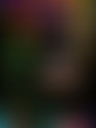 PSA 1/6/2026 3:30 p.m.: Family Learning Fun Exploring the Letter B