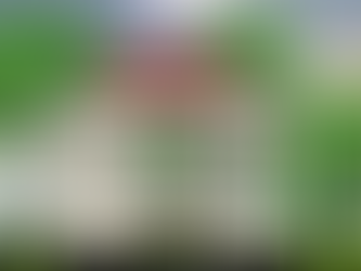 PSA 8/1/2025 12:00 p.m.: Friday Al Fresco in the Park: Wild Country