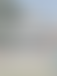 PSA 1/5/2026 12:30 p.m.: Carnegie Library Closing at Noon Due to Heating System Issues