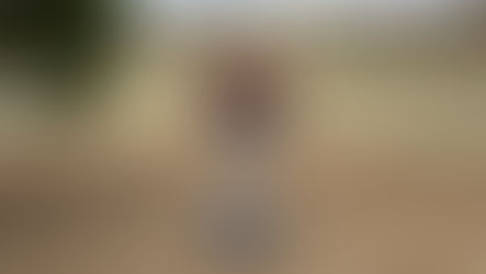 PSA 4/15/2026: City of Las Vegas Expands Community Literacy with Little Free Libraries in Local Parks