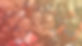 WWD-Mission.jpg