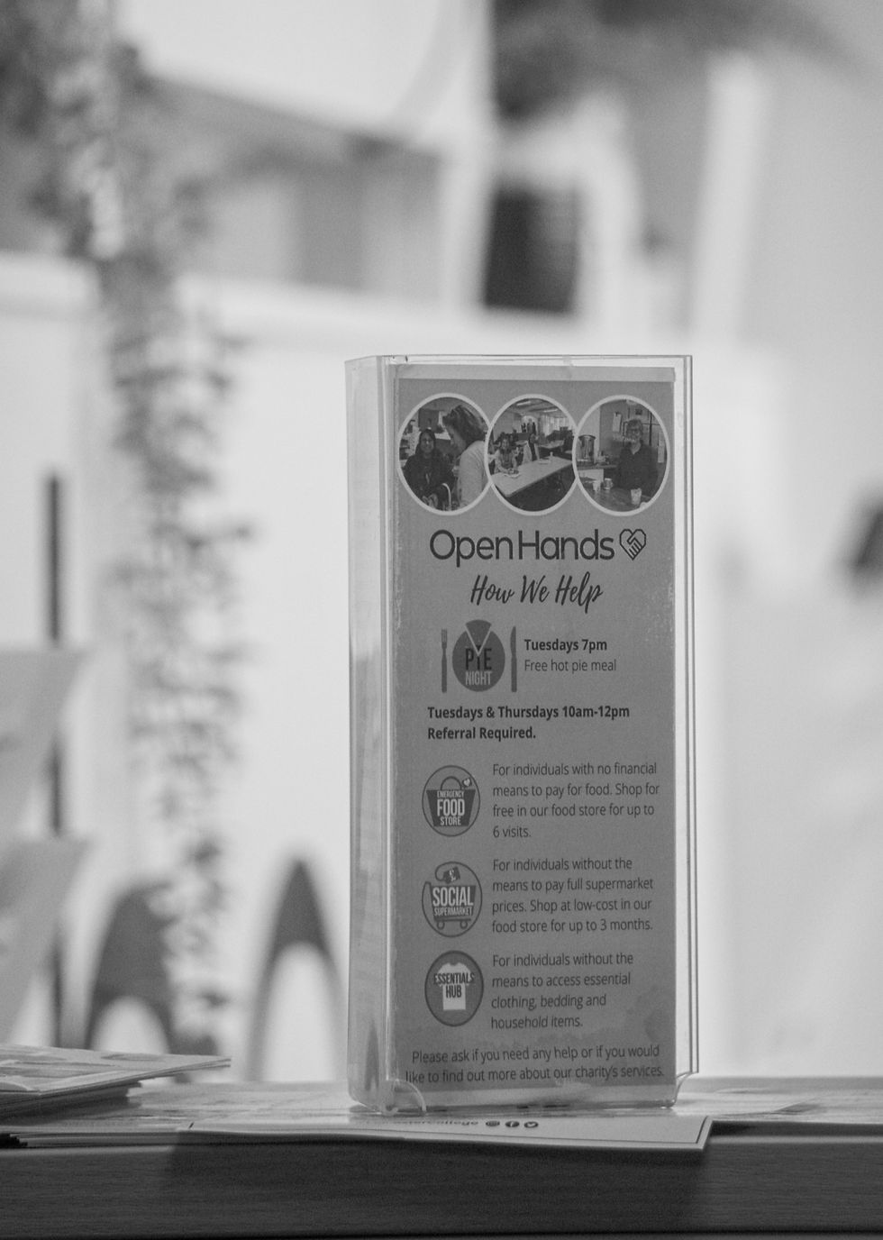 DSC03211.jpg