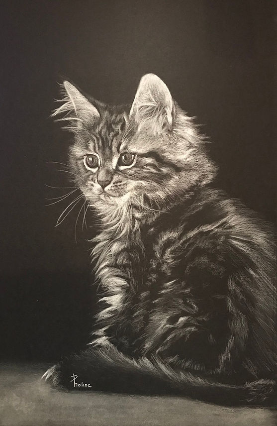 Image JPEG 23_edited.jpg