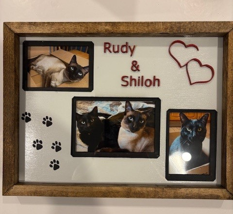 frame rudy.jpg