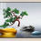 Thumbnail: 挂画