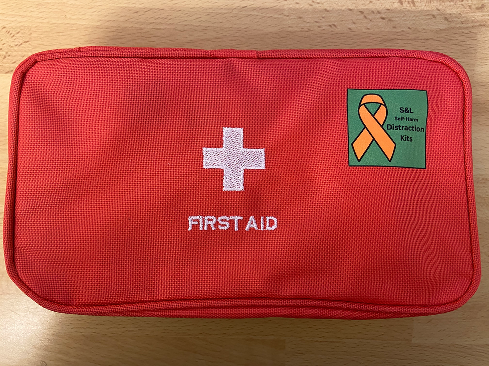 Red 40 Piece Self-Harm Safety Kit