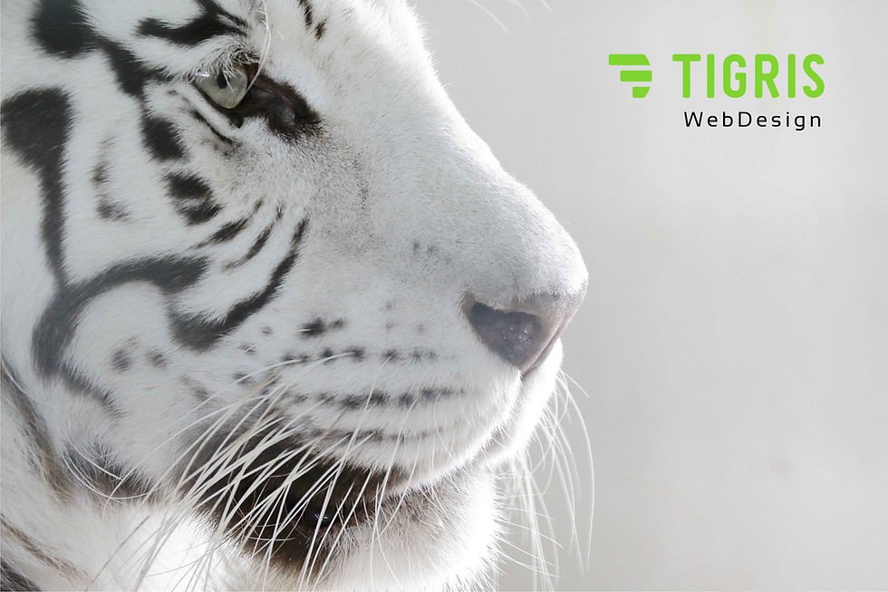 CREATING SMALL BUSINESS WEBSITES AND SOCIAL MEDIA. Achieving your vision.