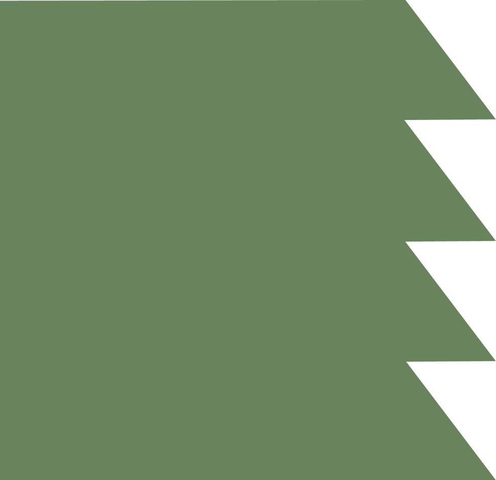 Olive-and-Pink-Space-and-Place-Consultancy-Darwin