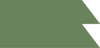 O&P_Graphic B_OliveL85_RGB_edited.png