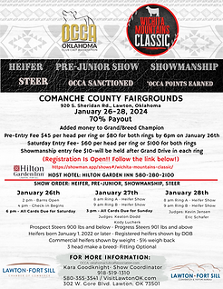 WMC flyer 2025.PNG