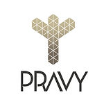 Pravy Digital Lovers 2_edited.jpg
