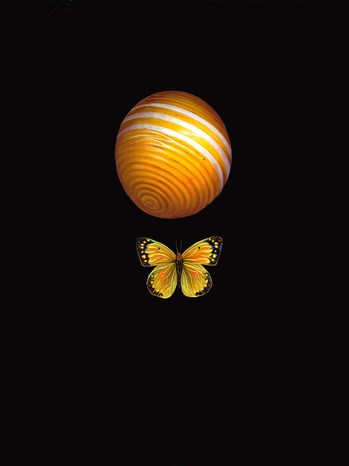 Moth Ball Yellow Card