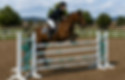 Horse Shows & Events