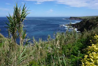 The Azores: Vibrant islands in the middle of the Atlantic - Terceria Island