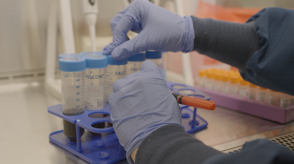 Screenshot 2025-06-28 at 8.56.22 PM.png