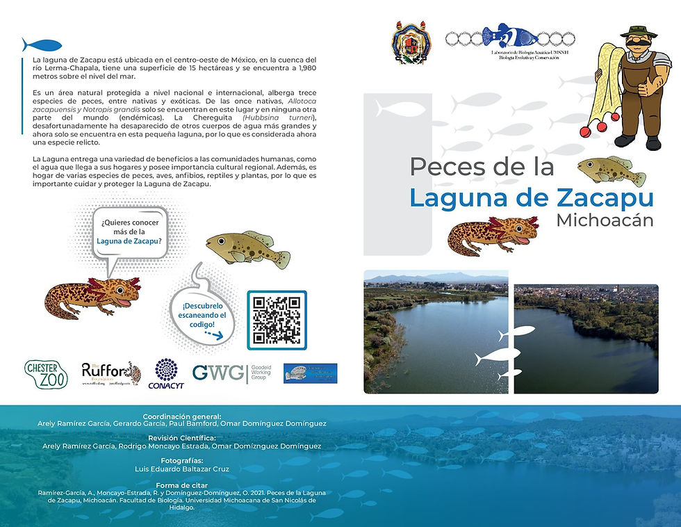 Guías ilustradas de la "Laguna de Zacapu"