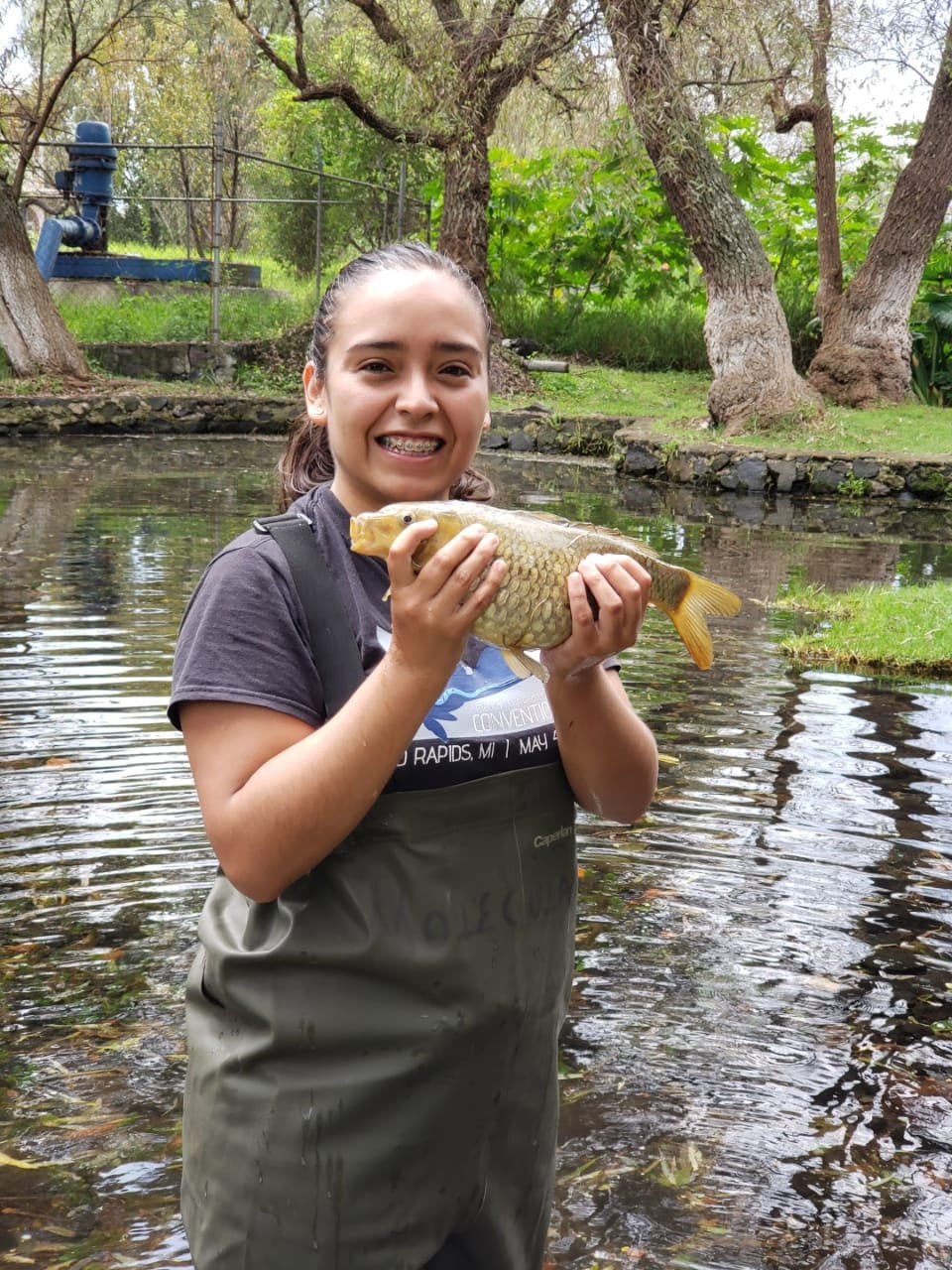 Reporte final del Proyecto Zacapu y The Rufford Foundation