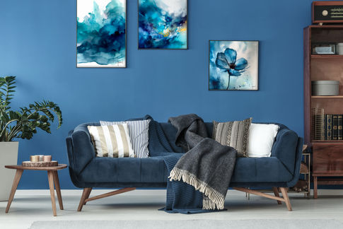 sofa-in-living-room-2021-08-26-15-45-02-utc copia.jpg