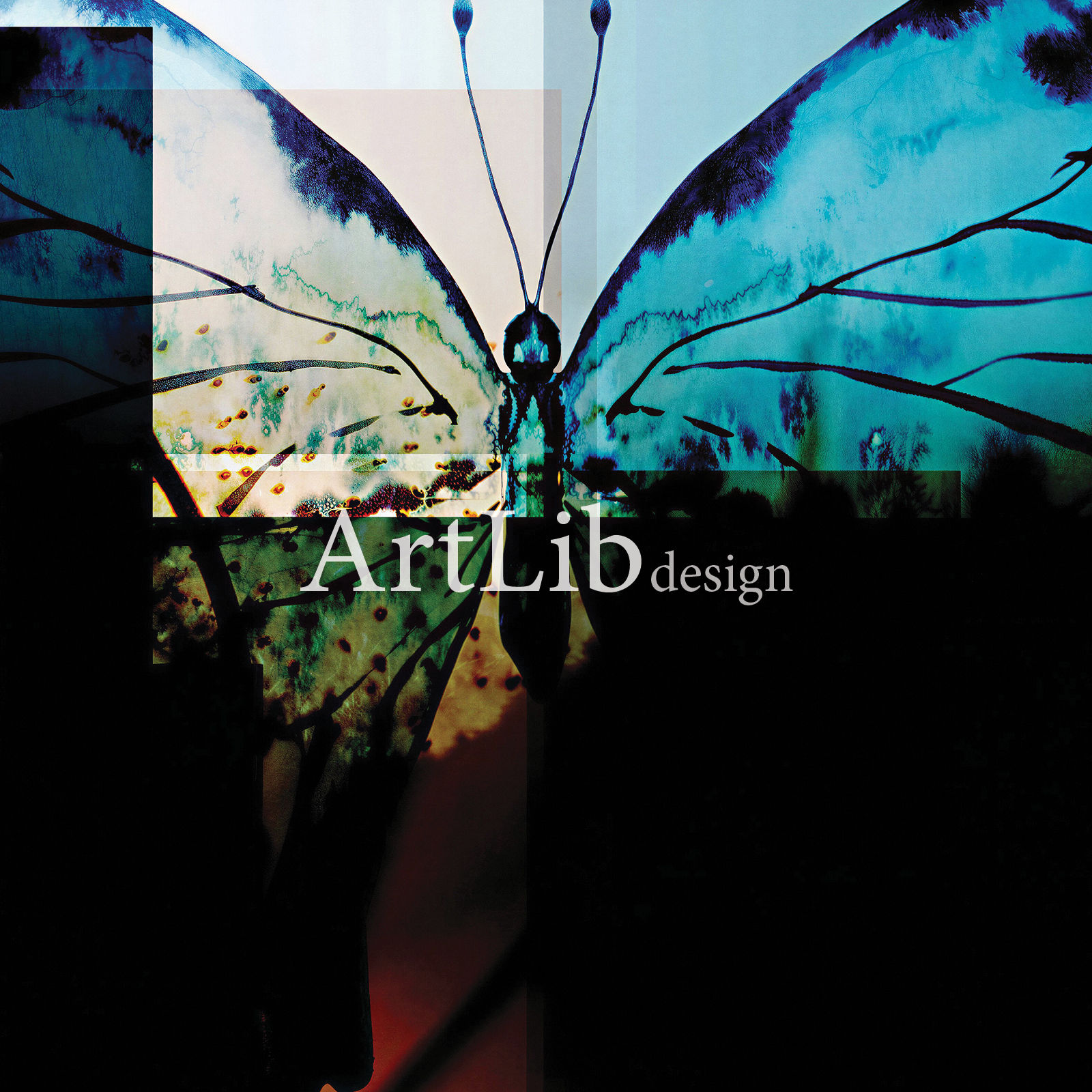 Art A 009