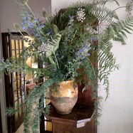 IMG_20200702_150106116.jpg