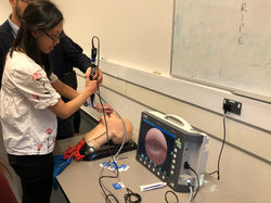 Endotracheal tube placement
