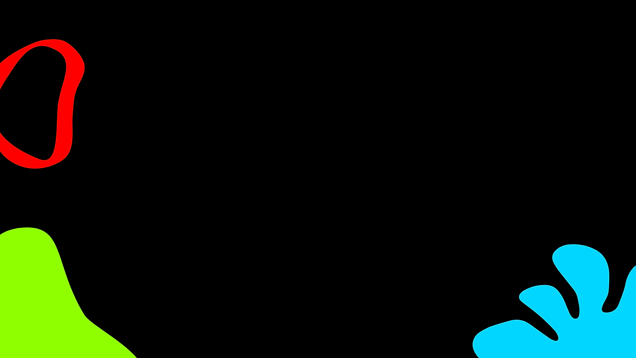 WEB PRESENTATION2.png