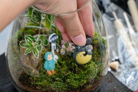 【植感造景】苔蘚微景觀生態瓶