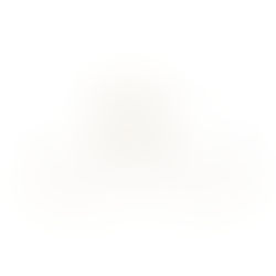 甜忌廉甜點店‧蝴蝶酥