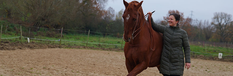P1106747_edited.jpg