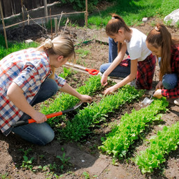 Gardening Activities
