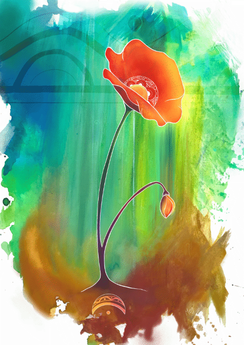coquelicot 