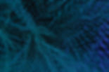 Header-option-one.jpg