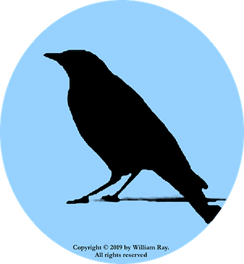 Black Bird
