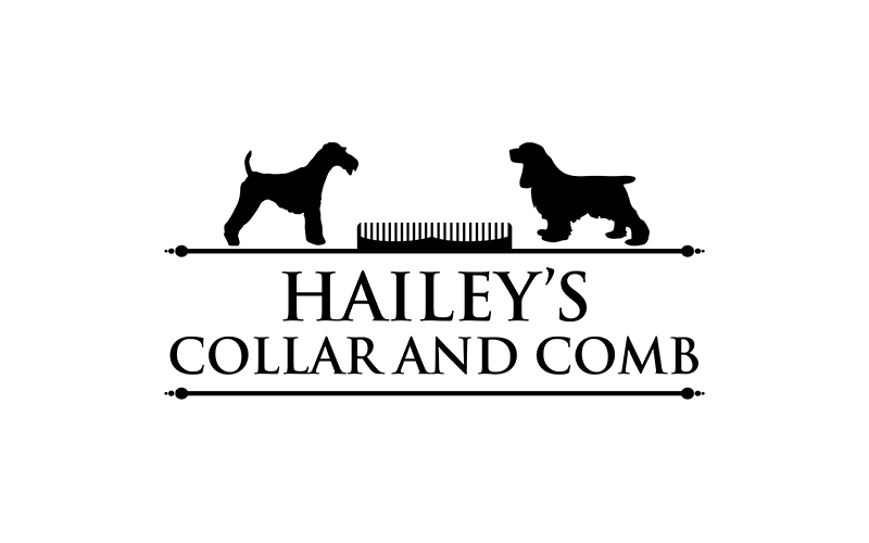 Hailey's Collar and Comb