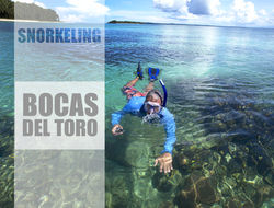 Bocas del Toro