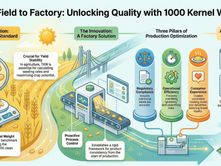 The Science of Consistency: Applying 1000 Kernel Weight (TKW) to Modern Food Processing