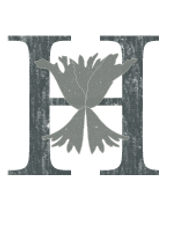 Hydeout coworking space logo – transparent background