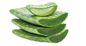 Fichier 2gel.png