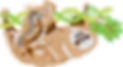 Sloth_SloCo.png