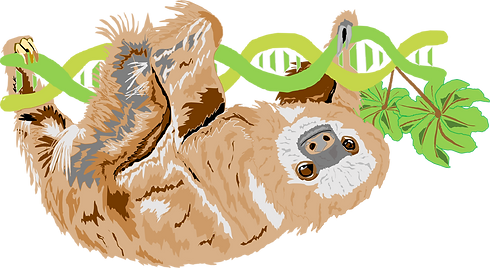 Sloth_SloCo.png