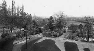 screenshot-www.cheadlephotos.net-2019.01