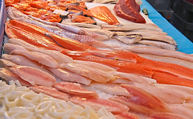 Sea it Fresh.png4.png