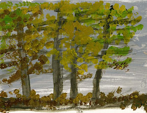 green,+yellow&brown+trees.jpg