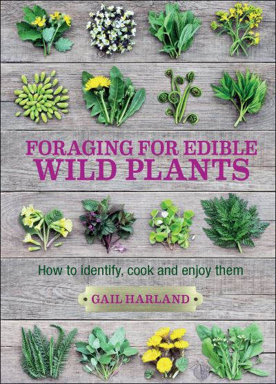 Foraging for Edible Wild Plants by Gail Harland