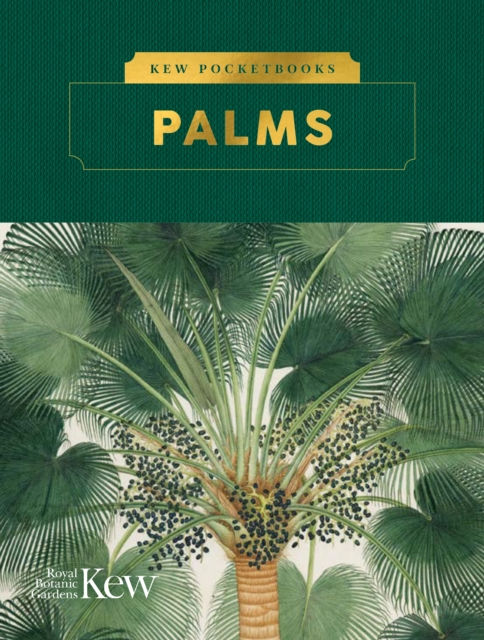 Kew Pocketbooks: Palms by Kew Royal Botanic Gardens