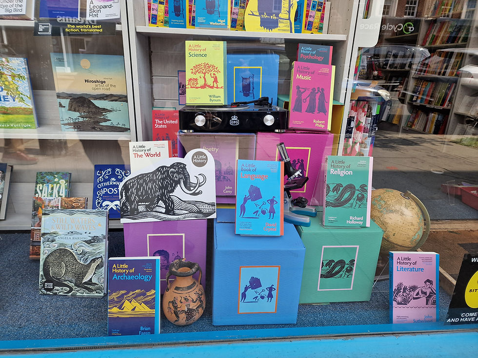 Window Display Sheen