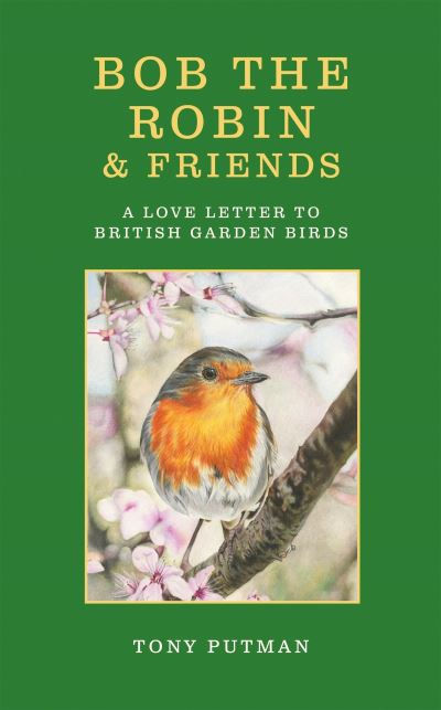 Bob the Robin & Friends by Tony Putman