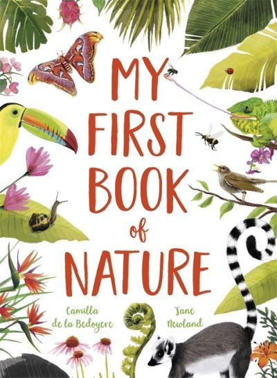 My First Book of Nature by Camilla De La Bedoyere