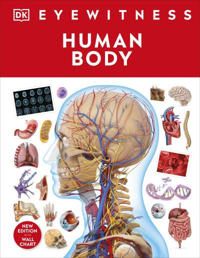 Human Body by DK